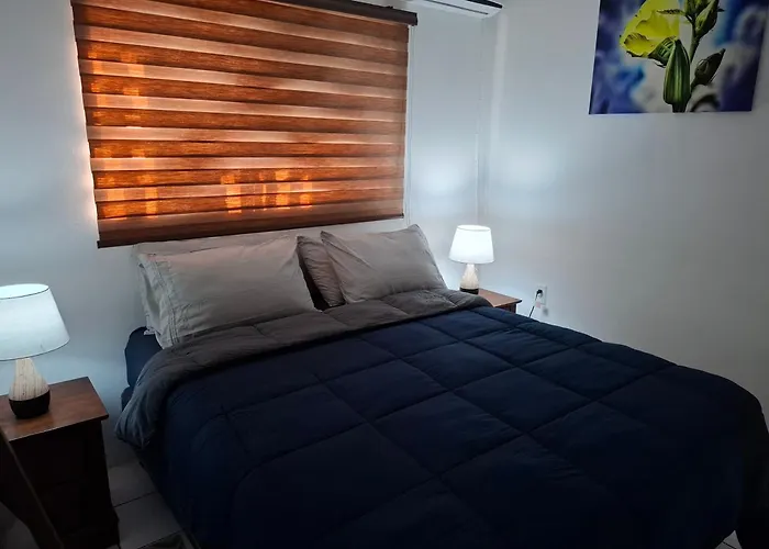 Tropical Palm Retreat